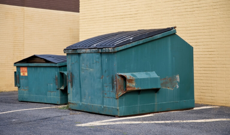 dumpster-cleaning